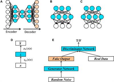 A Brief Review on Deep Learning Applications in Genomic Studies